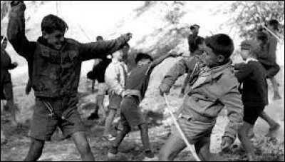 En quelle année ce film est-il sorti en France ?