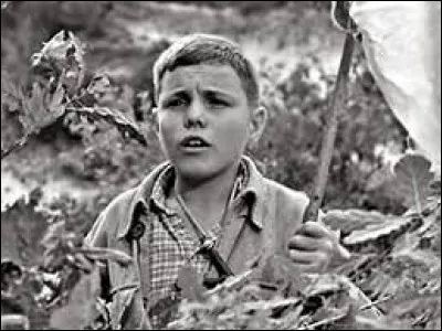 Qui est le chef des enfants de Velrans ?