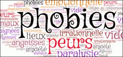 Quel nom de phobie est la peur de certains lieux, ou peur de se retrouver seul dans une foule ?