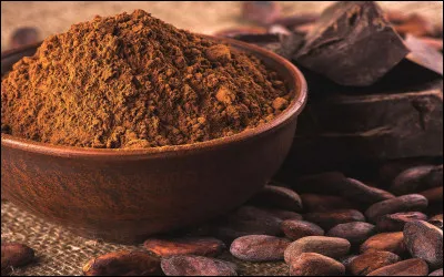 Qui a découvert le chocolat ?