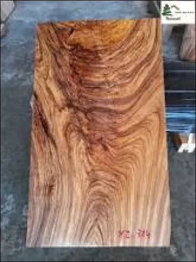 Quel film d'animation japonais est sorti en 2010 ?