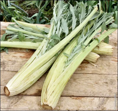 Quels sont ces légumes ?