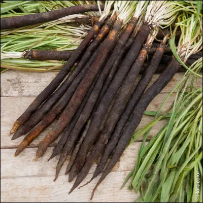 Quels sont ces légumes ?