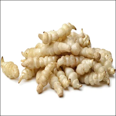 Quel est ce légume ?