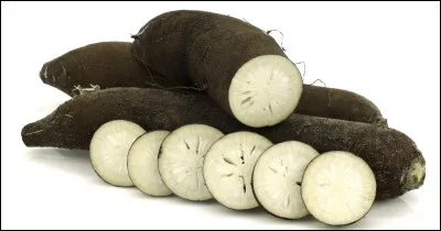 Quel est ce légume ?