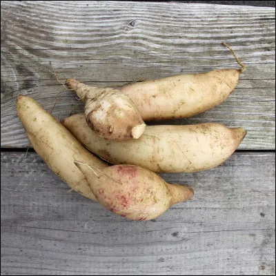 Quel est ce légume ?