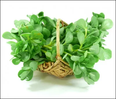 Quel est ce légume ?