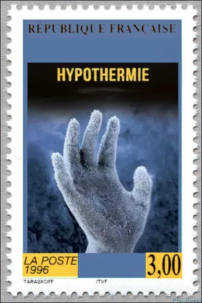 Il est le personnage principal d'une série de romans policiers de l'auteur islandais Arnaldur Indriðason : comment se nomme-t-il ?