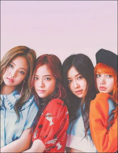 Si tu étais dans un groupe de kpop, quel serait ton rôle ?