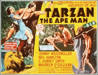 Dans quelle discipline Johnny Weissmuller, inoubliable Tarzan, était-il un champion au point d'entrer au temple de la renommée de ce sport ?