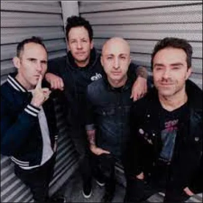 À quel groupe punk rock doit-on "Wake Me Up (When This Nightamre's Over) ?