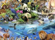Quiz Animaux