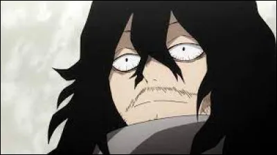 Quel est le métier de Shota Aizawa ?