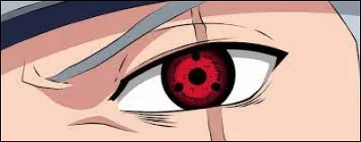 Quel est le nom de ce dôjutsu héréditaire ?