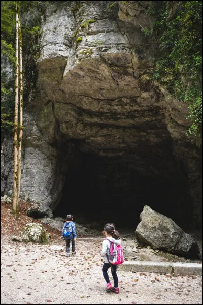 Avec ton collège, tu fais une sortie. Vous allez dans une grotte. Sachant que dans cette grotte, on dit qu'il y a beaucoup de chauves-souris, d'araignées et de toiles d'araignées. Que fais-tu ?