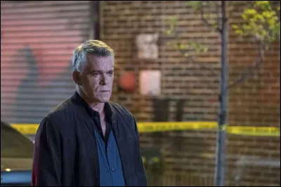 Dans laquelle de ces séries donne-t-il la réplique à Jennifer Lopez ?