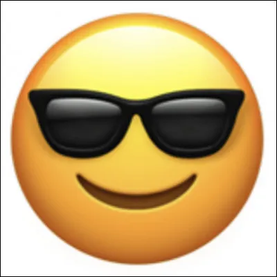 Que veux-tu faire durant les vacances dété ?