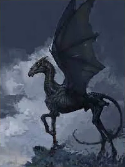 Aimes-tu les sombrals ?