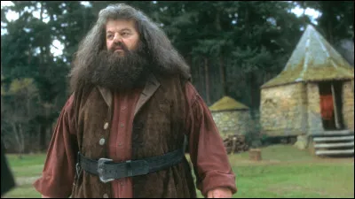Aimes-tu Hagrid ?