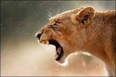 Elle a chanté "Roar", en 2013.