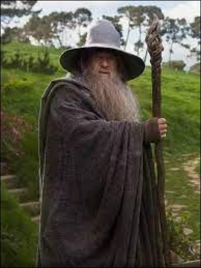 Quel acteur incarne Gandalf dans la trilogie cinématographique "Le Seigneur des anneaux" ?
