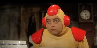 "La Soupe aux choux" est le titre d'un film interprété par Bourvil.