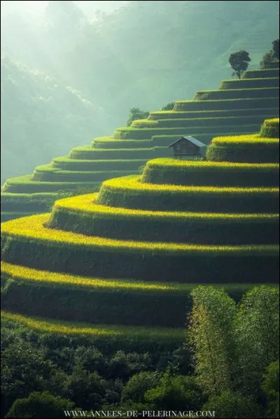 Haguenau-Wissembourg se trouve dans le/les...