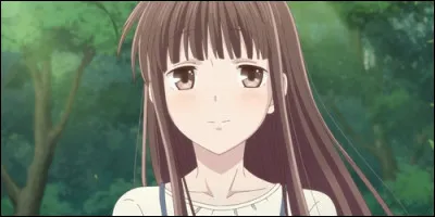 Quel métier exerce Tohru Honda après les cours ?