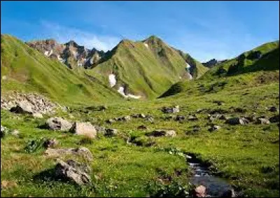 Que peut-on trouver sur une montagne à très haute altitude ?
