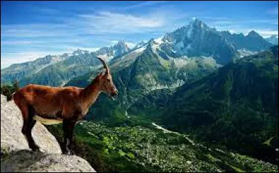 Si l'on fait une randonnée de plusieurs jours en montagne, où va-t-on dormir ?