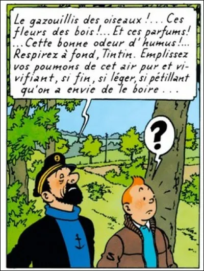 Dans quel album Haddock est-il écolo avant l'heure ?