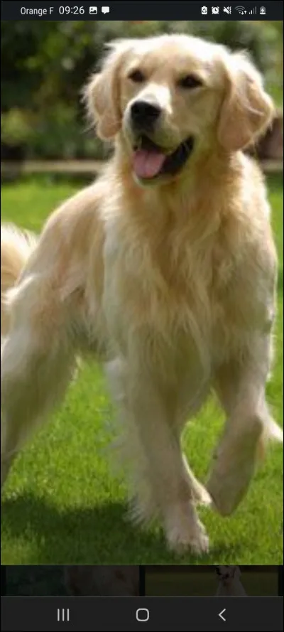 Hum, lui c'est un...