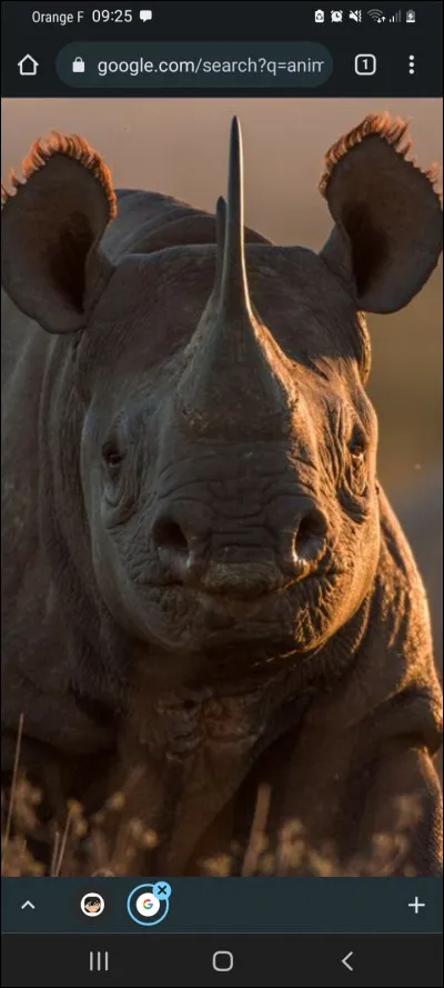 Pour finir, c'est un...