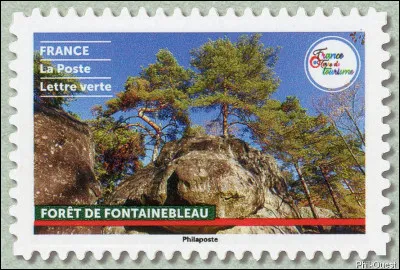 Cette forêt fut autrefois appelée la "forêt de Bière" : pourquoi donc ?