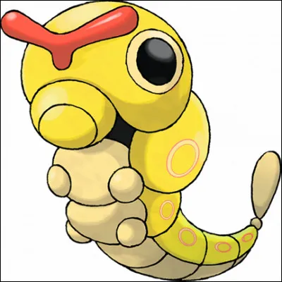 010 - Chenipan évolue...