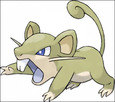 019 - Le Rattata d'Alola est...