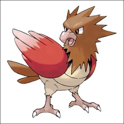 021 - Le Piafabec chromatique a les ailes...