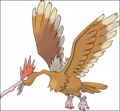 022 - Rapasdepic est de type...