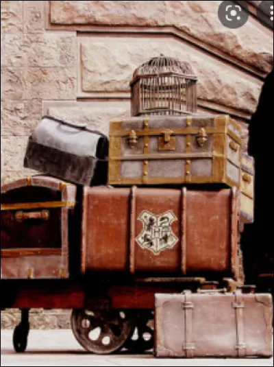 C'est maintenant la veille du départ, tu fais ton sac et tu constates que tu as encore de la place pour un objet, que mets-tu ?