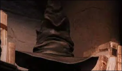 Tu marches jusqu'au choixpeau.
Euan est à Serdaigle.
Tu entends ton nom puis tu t'avances vers le choixpeau. Tu penses très fort à..