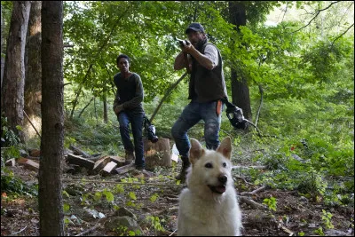 Dans quel film deux familles essayent-elles de survivre ?