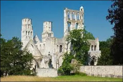 Dans ce département, vous pourrez visiter les ruines de l'abbaye de Jumièges :