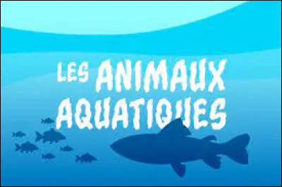 Choisis un animal aquatique.