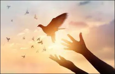 Qui est l'interprète de la chanson "Mille colombes", sortie en 1982 ?