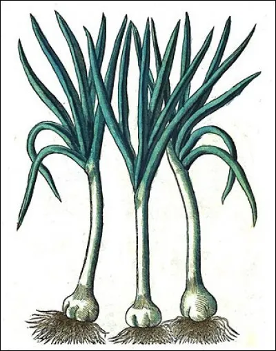 Quel personnage romanesque commence sa carri&egrave;re sous les ordres du criminel sir Williams ?