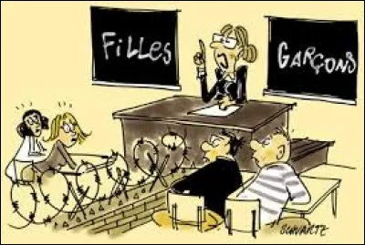 En quelle année l'école primaire est-elle devenue mixte ?