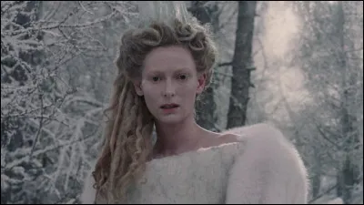 De quel film est tirée cette image de Tilda Swinton ?