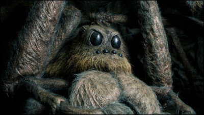 Aragog est inspiré...