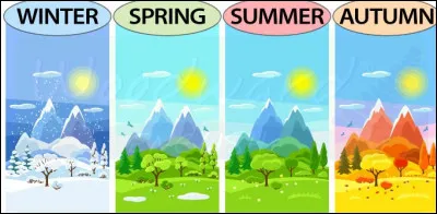 Quelle est ta saison préférée ?