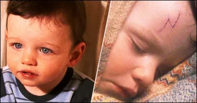 Dans Harry Potter 1, qui dépose Harry devant la porte de son oncle et sa tante ?